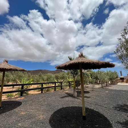 El Olivar Experiences - Adults Recommended