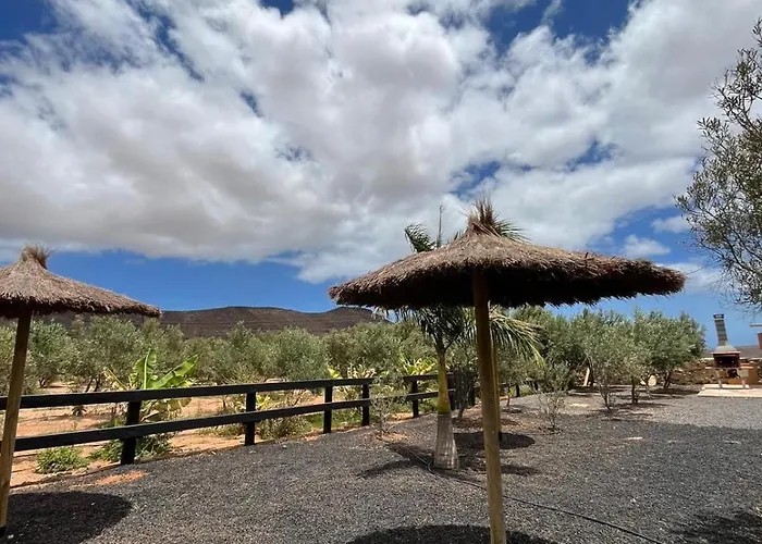 El Olivar Experiences - Adults Recommended